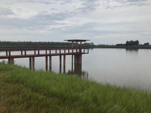 Três barragens correm risco de rompimento em assentamento rural