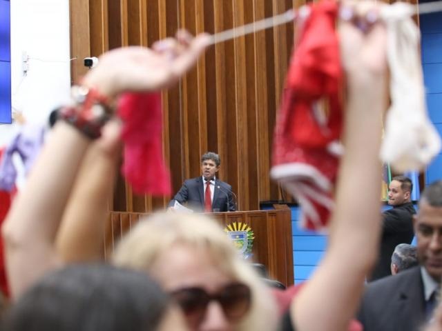 Mulheres fazem 'calcinhaço' em protesto contra fala de deputados