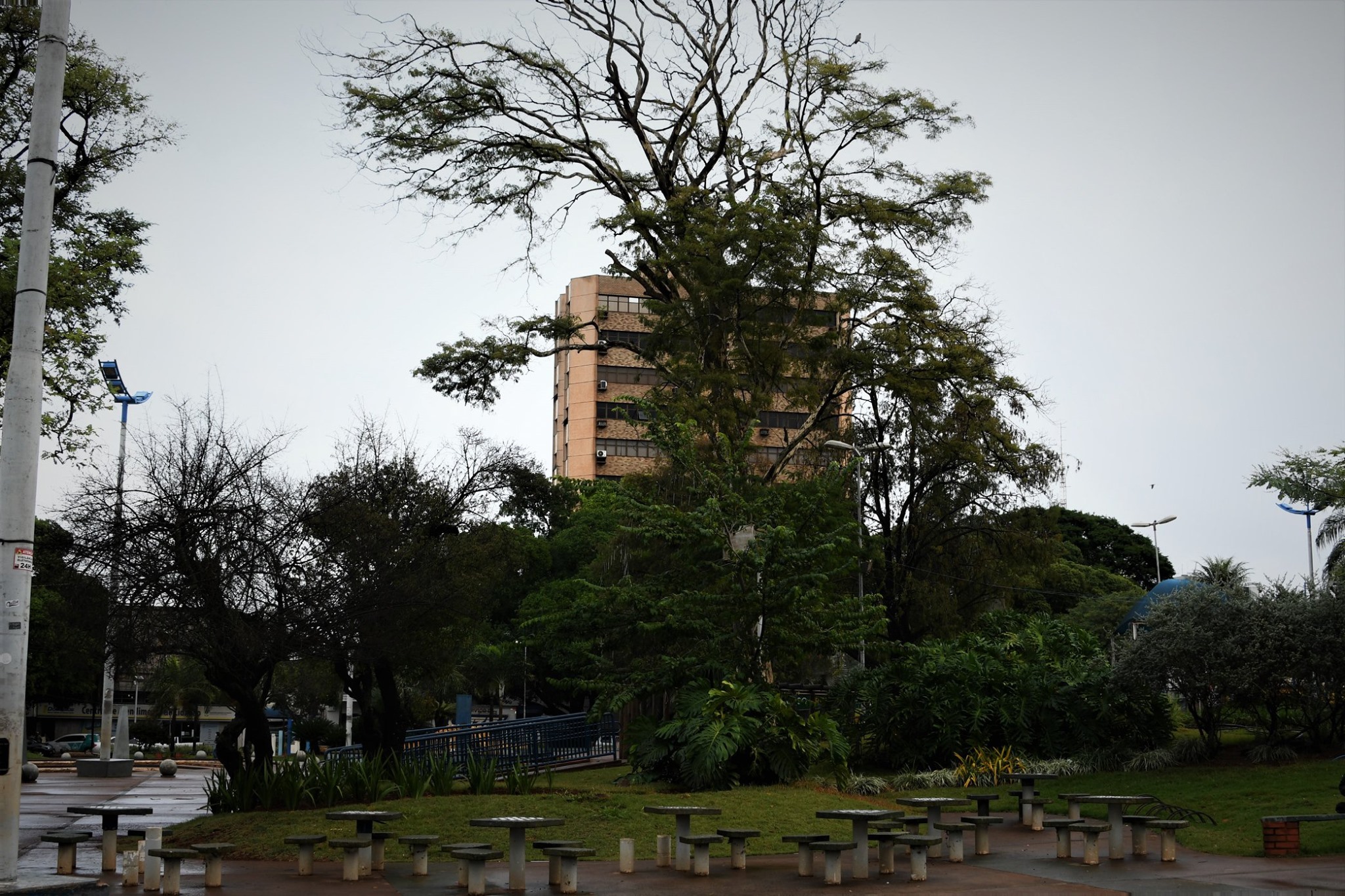 Meteorologia indica volta do frio a partir desta quinta-feira