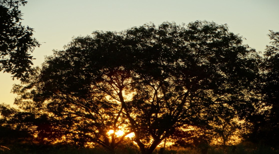 Sábado será nublado com máxima de 29°C