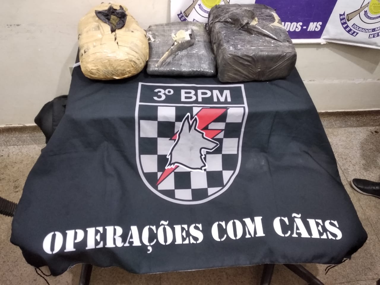 Canil apreende adolescente com drogas em Dourados