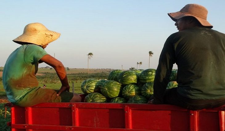 A agricultura familiar em Mato Grosso do Sul