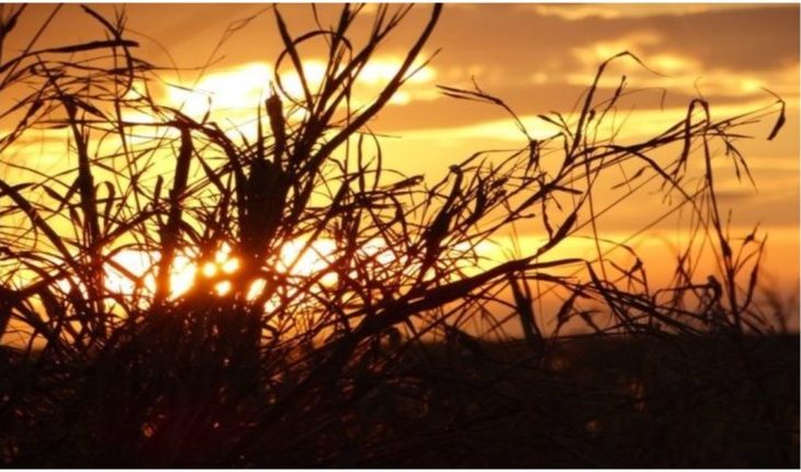 Em Dourados terá alta nas temperaturas 