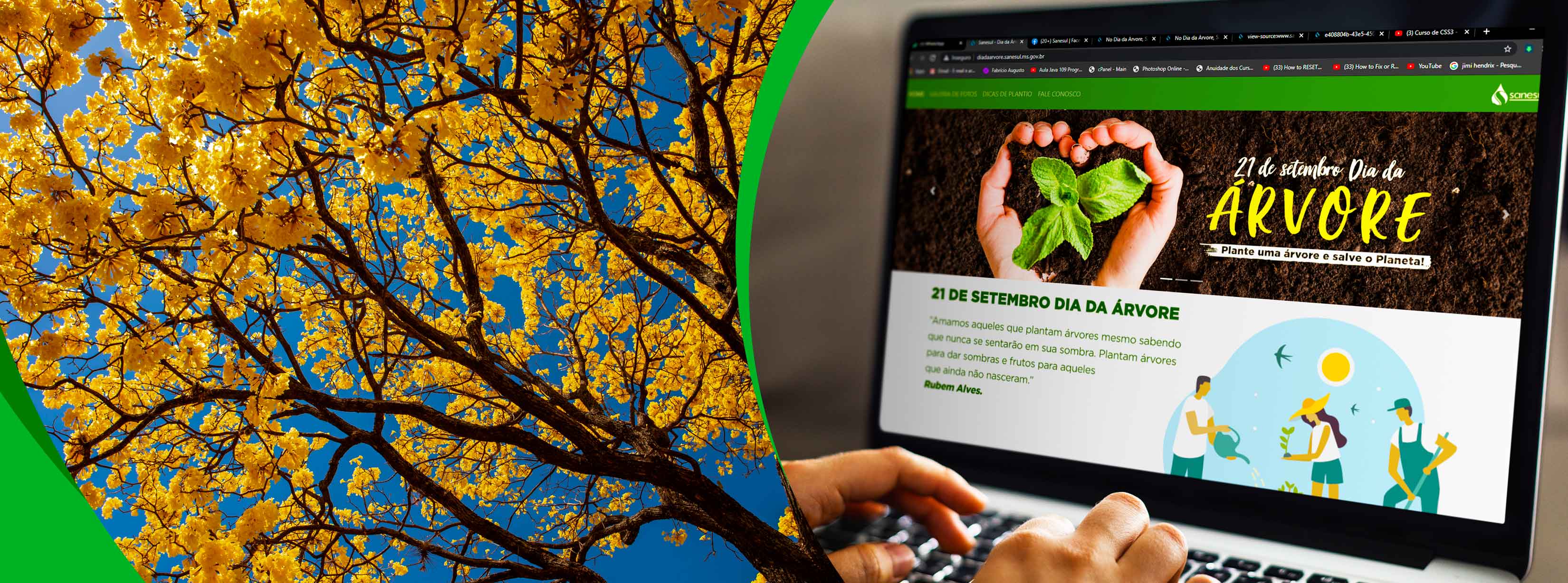 Sanesul lança hotsite sobre campanha do Dia da Árvore