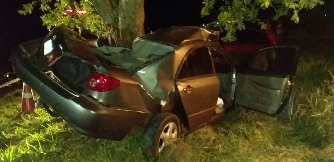 Homem perde controle do carro e bate em árvore