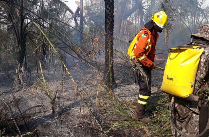 No estado estão suspensas as autorizações de fogo controlado 