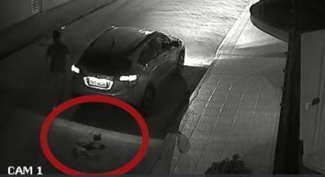 Homem que arrastou cão em carro decidi sacrificar 