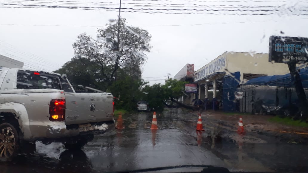 Prefeita de Dourados decreta situação de emergência 