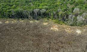 Alemanha irá doar mais de R$ 160 milhões para o agronegócio sustentável 