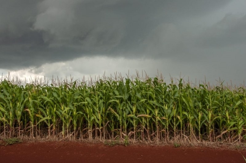 Chove na região sul nos próximos dias 