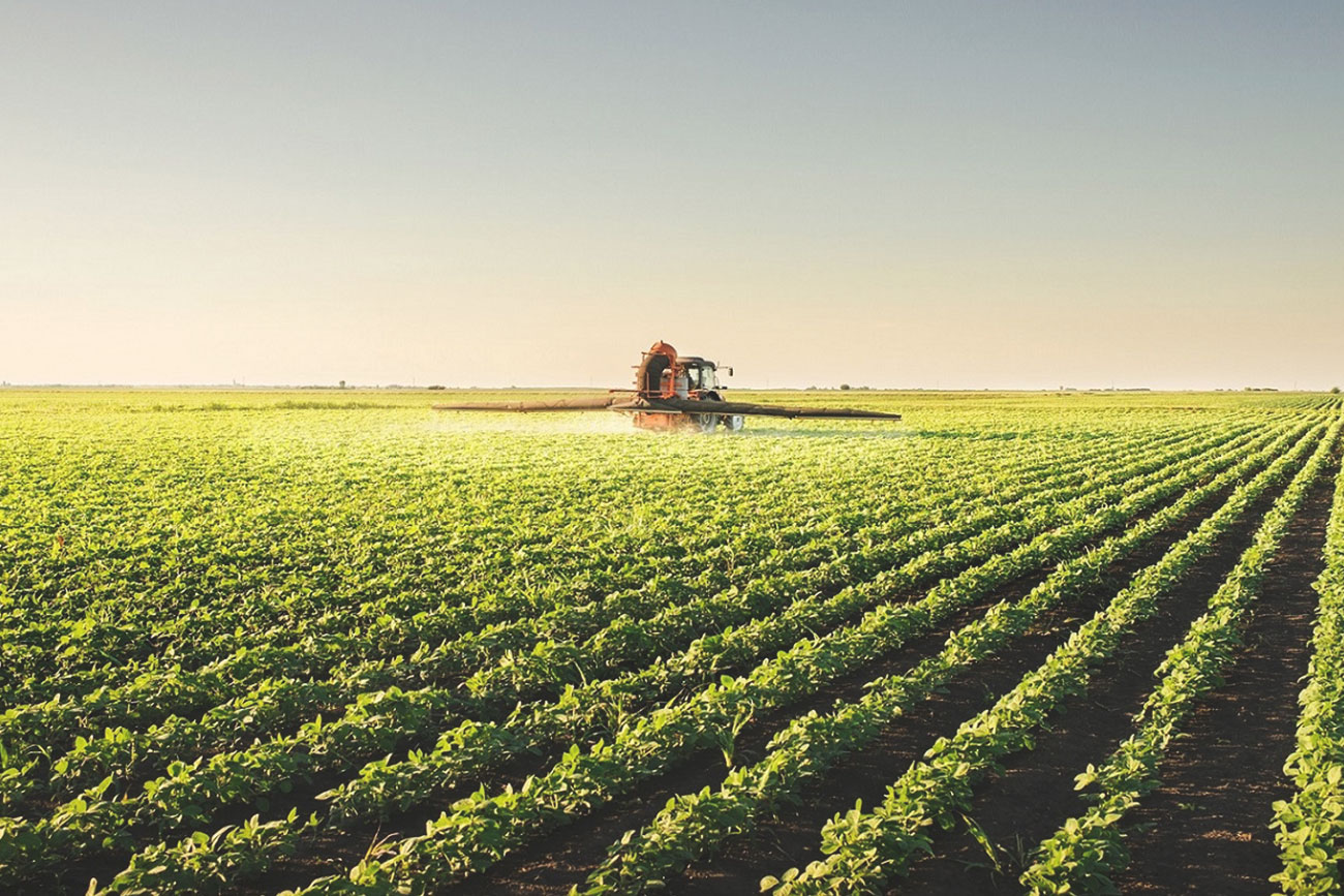 Este ano foi positivo para a agropecuária 