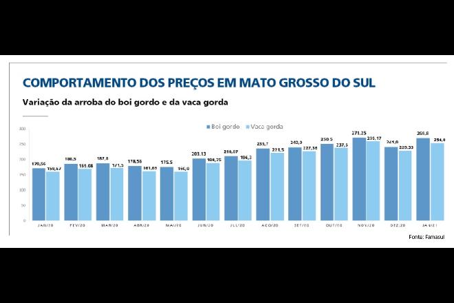 MS está sem gado para abate 