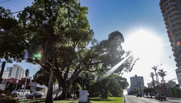 Em MS neste domingo terá muito calor e chuva 