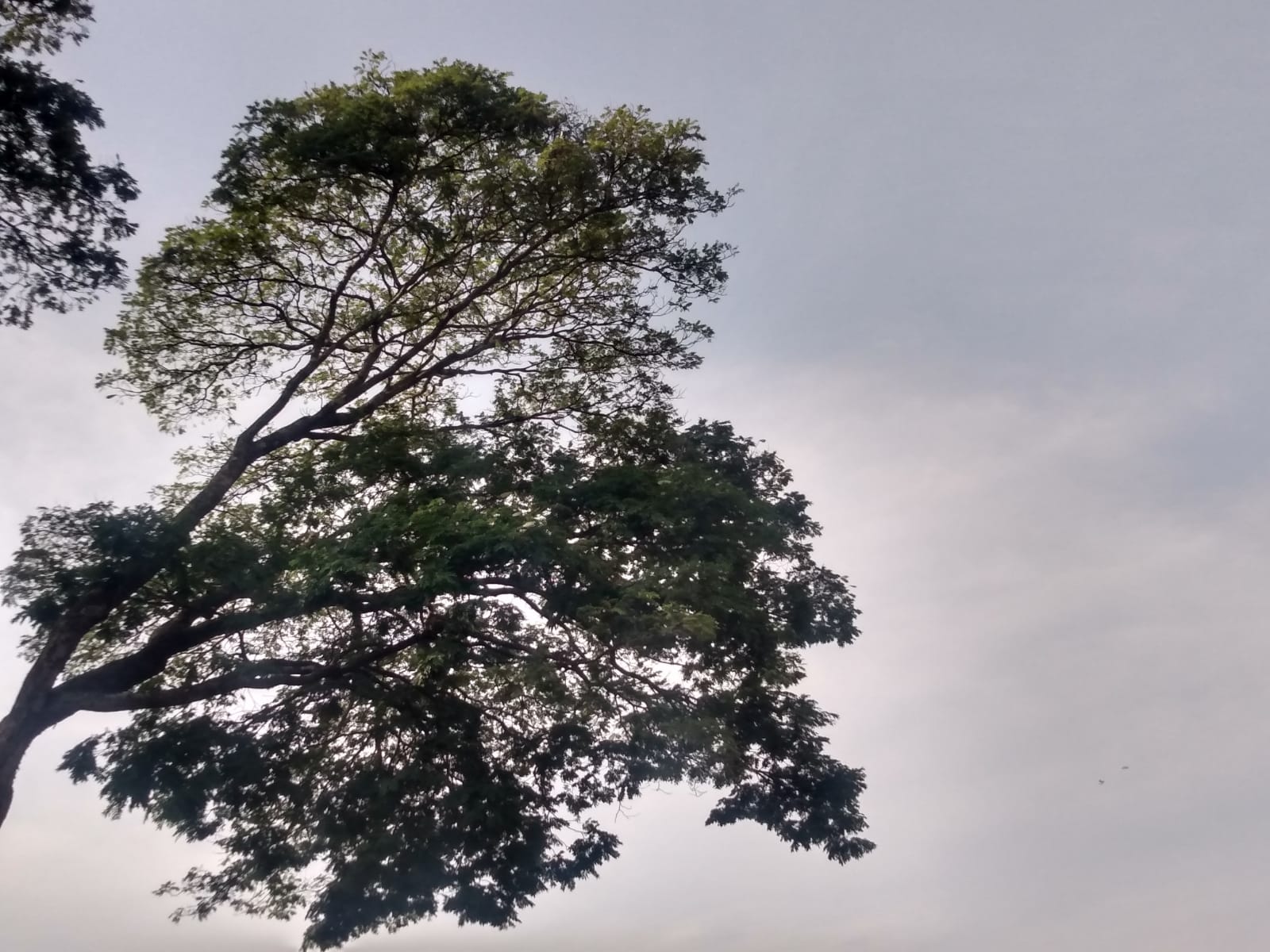 Tempo e Temperatura em Dourados