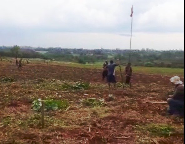 Índios invadem novamente, propriedade rural em Dourados 