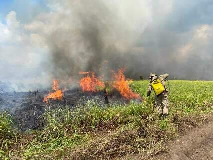 Incêndio em mata na região de Bonito