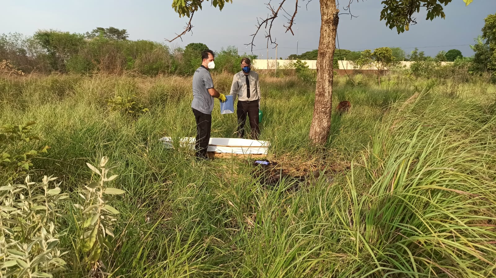 Corpo de homem é encontrado em avançado estado de decomposição em Dourados 