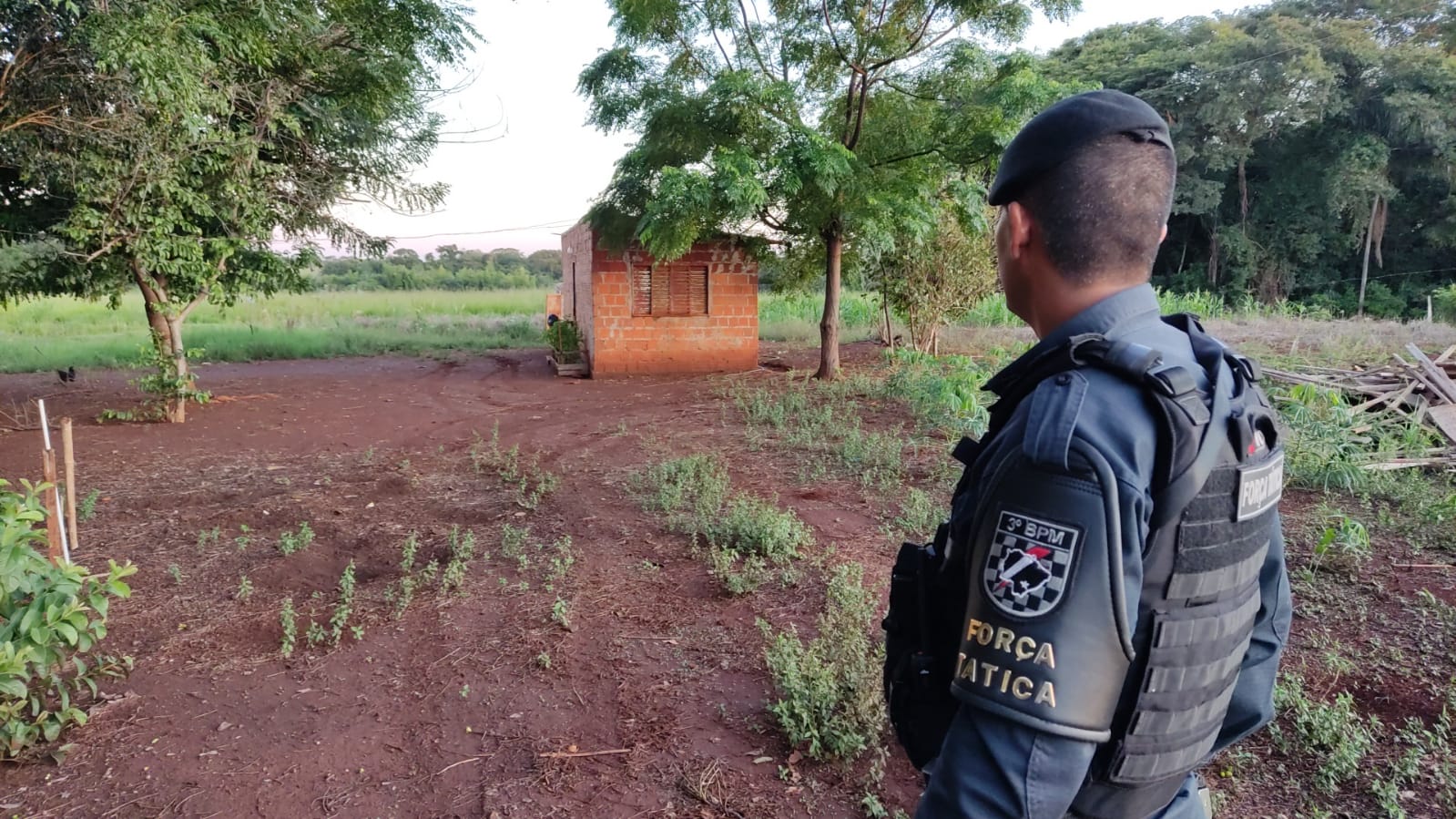 Em Dourados esposa é suspeita de assassinar homem a facadas dentro de casa