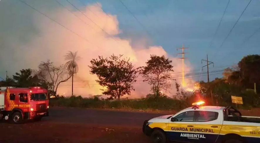 Atingido por incêndio, viveiro municipal de Dourados é fechado para limpeza