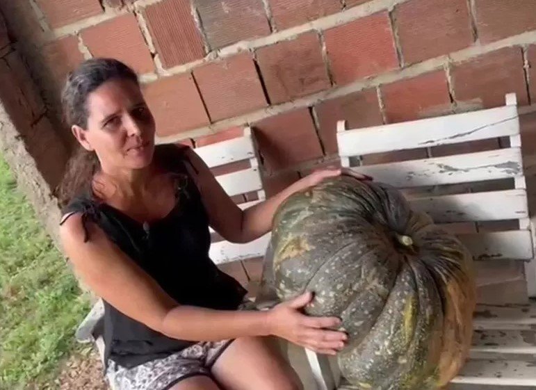 Agricultora se surpreende ao colher abóbora 'gigante' de 35 quilos