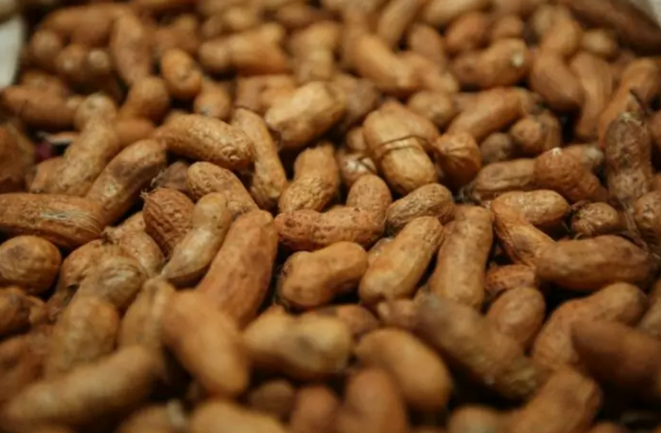 China abre mercado para amendoim do Brasil