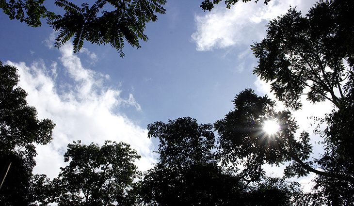 Outubro começa com calor de até 35° e pancadas de chuvas isoladas em MS