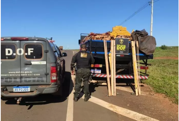 Policiais do DOF apreendem cerca de 3 toneladas de maconha em meio a madeira