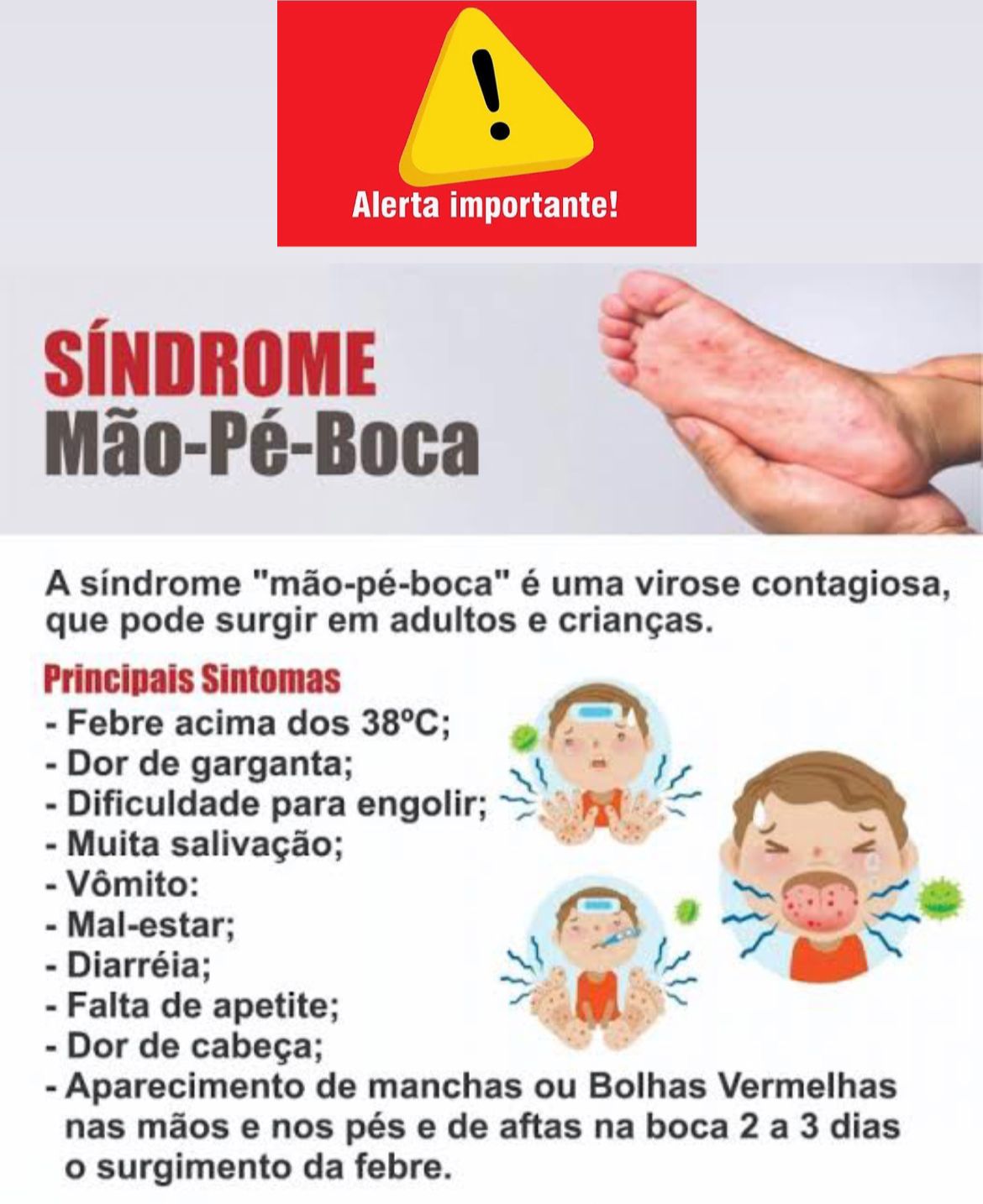 PÉ MÃO E BOCA