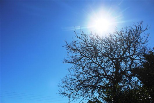 Dia ensolarado em Dourados.