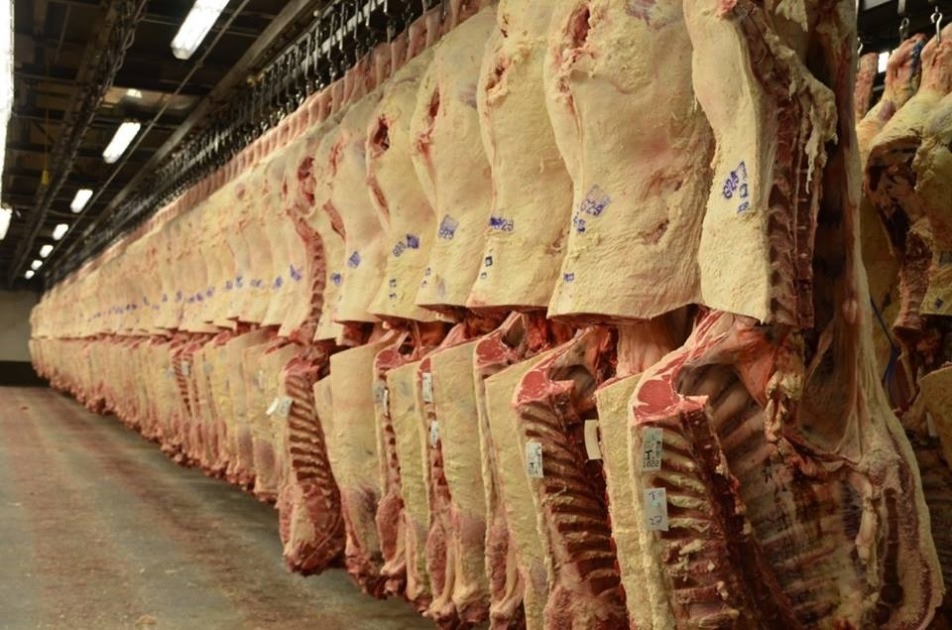 Brasil deve produzir quase 30 milhões de toneladas de carnes, em 2023.