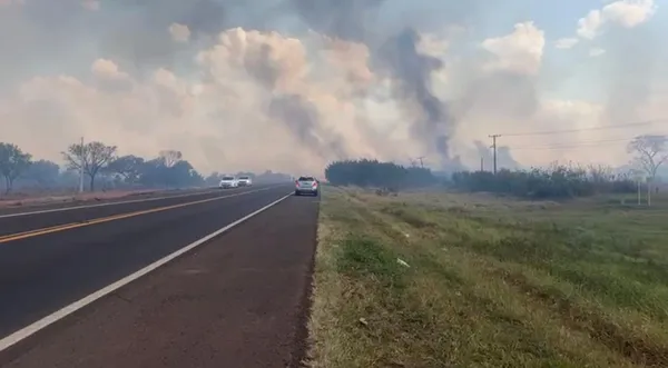 Incêndio atinge matagal às margens da BR-060, atrapalha trânsito e ameaça cemitério em Campo Grande.