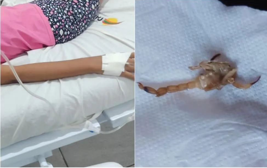 Menina de 3 anos é picada por escorpião e transferida à Capital em estado grave.