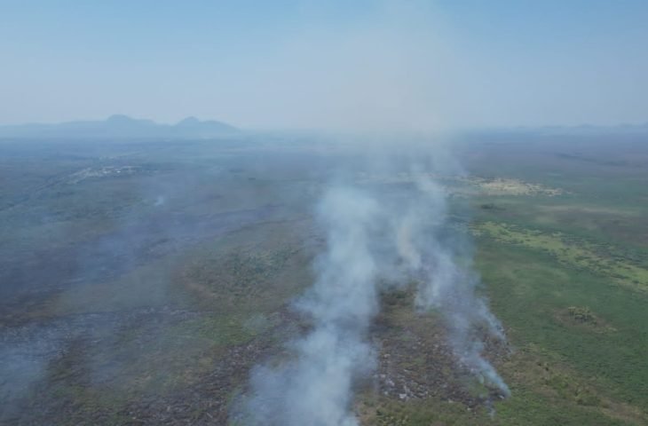 Após seis dias de atuação dos bombeiros incêndios no Pantanal são controlados 
