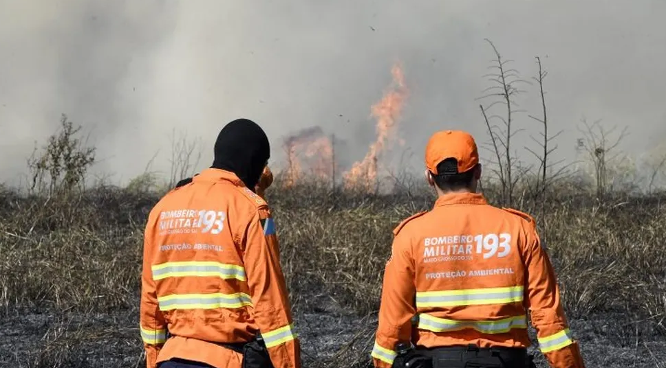 Fogo no Pantanal pode ter 14 cidades de MS em estado de emergência