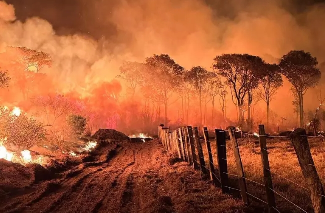 MS decreta situação de emergência por causa dos incêndios no Pantanal 