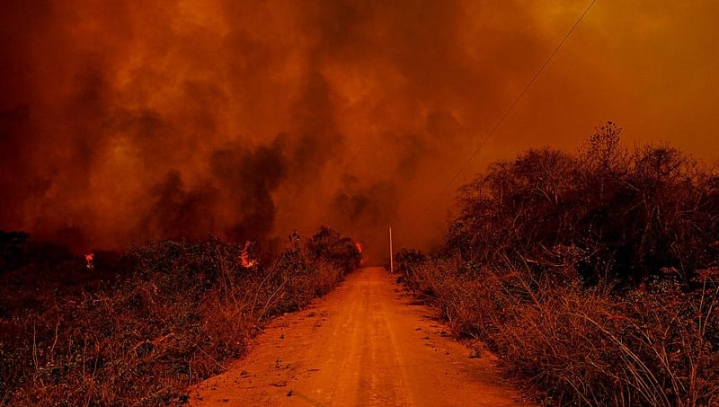'Queima científica' feita por universidade provocou incêndio em fazenda no Pantanal; MP investiga