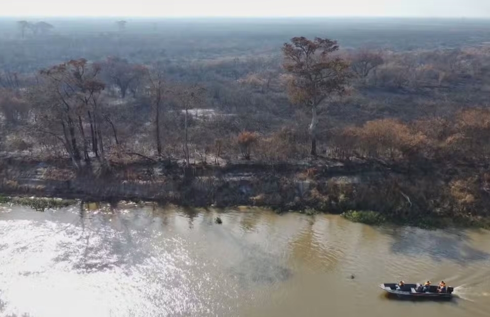 Pantanal vive uma das piores crises hídricas dos últimos anos; 14 cidades do bioma perderam área alagada, diz estudo