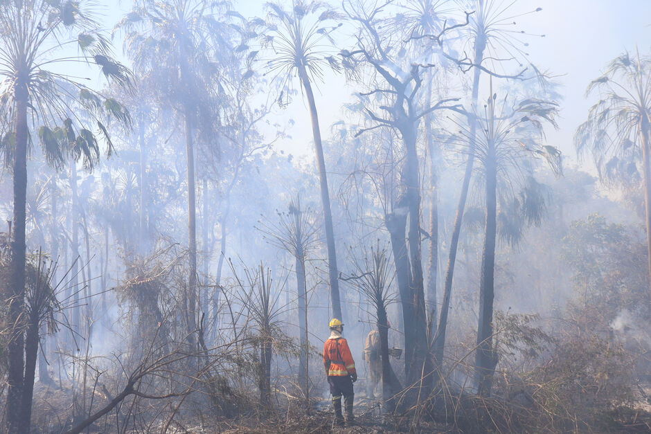 Após 101 dias de operação, Governo de MS anuncia fim dos focos de incêndios no Pantanal
