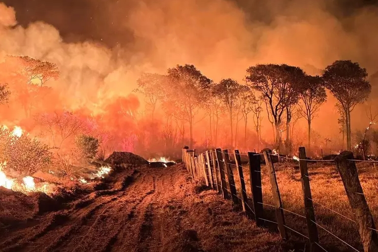 Governo federal libera R$ 137,6 milhões para combater incêndios no Pantanal 