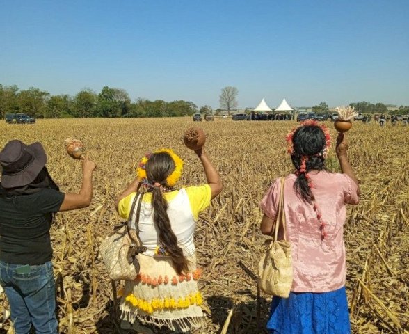 Juiz federal dá prazo de 5 dias para que indígenas desocupem área em Douradina 