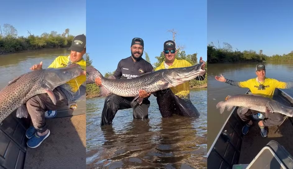 Empresário fisga peixe gigante de quase 1,60m no rio de Dourados