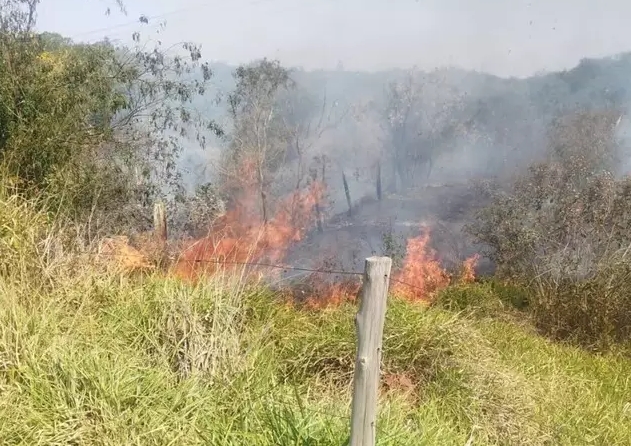 Panela de arroz no fogo provoca incêndio em vegetação de MS