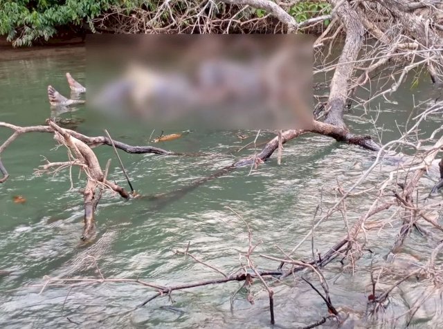 Pescador encontra corpo em estado de decomposição em rio de MS