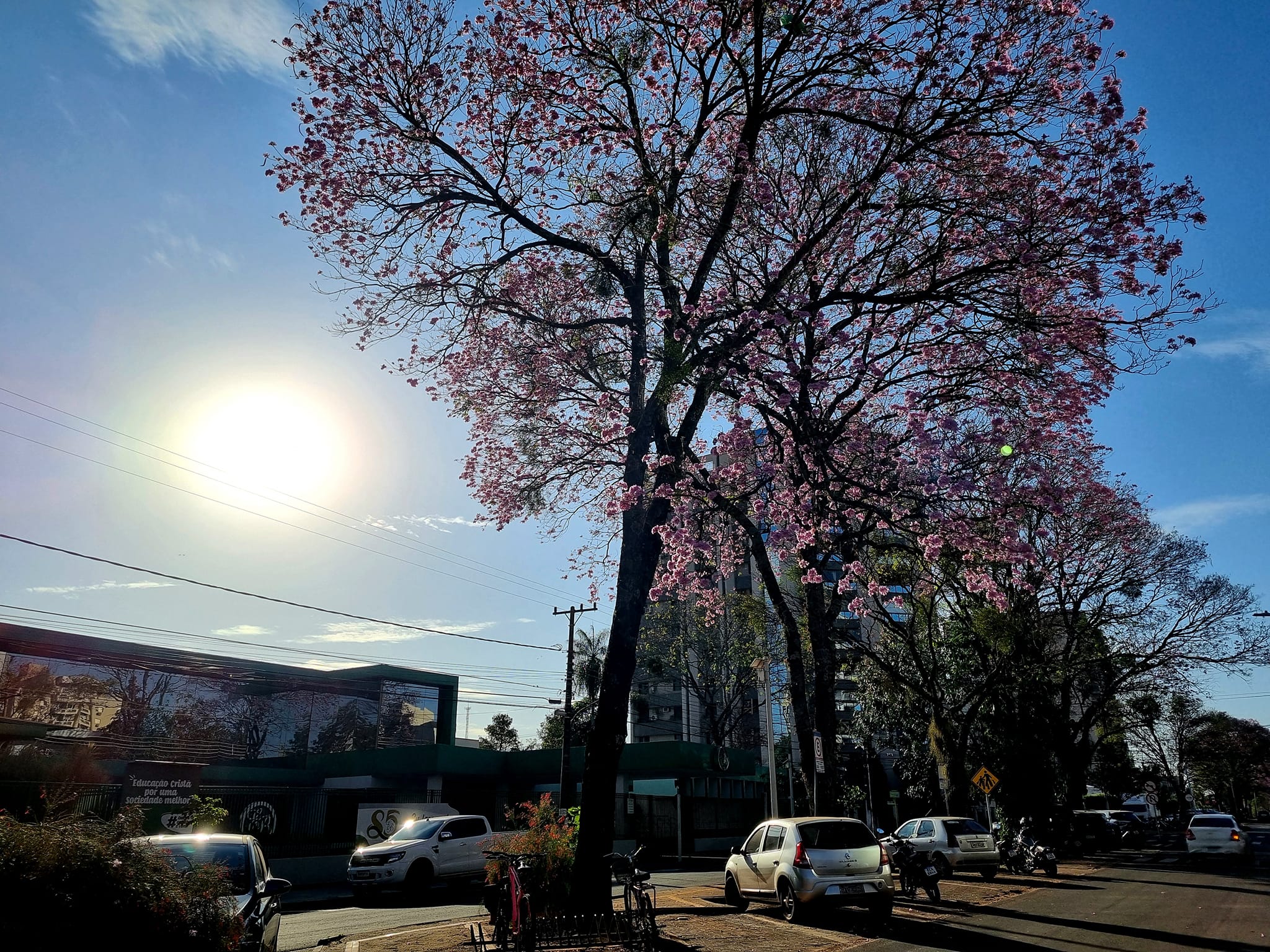 Terça amanhece amena, mas frio começa a se despedir e máximas chegam a 34° em MS