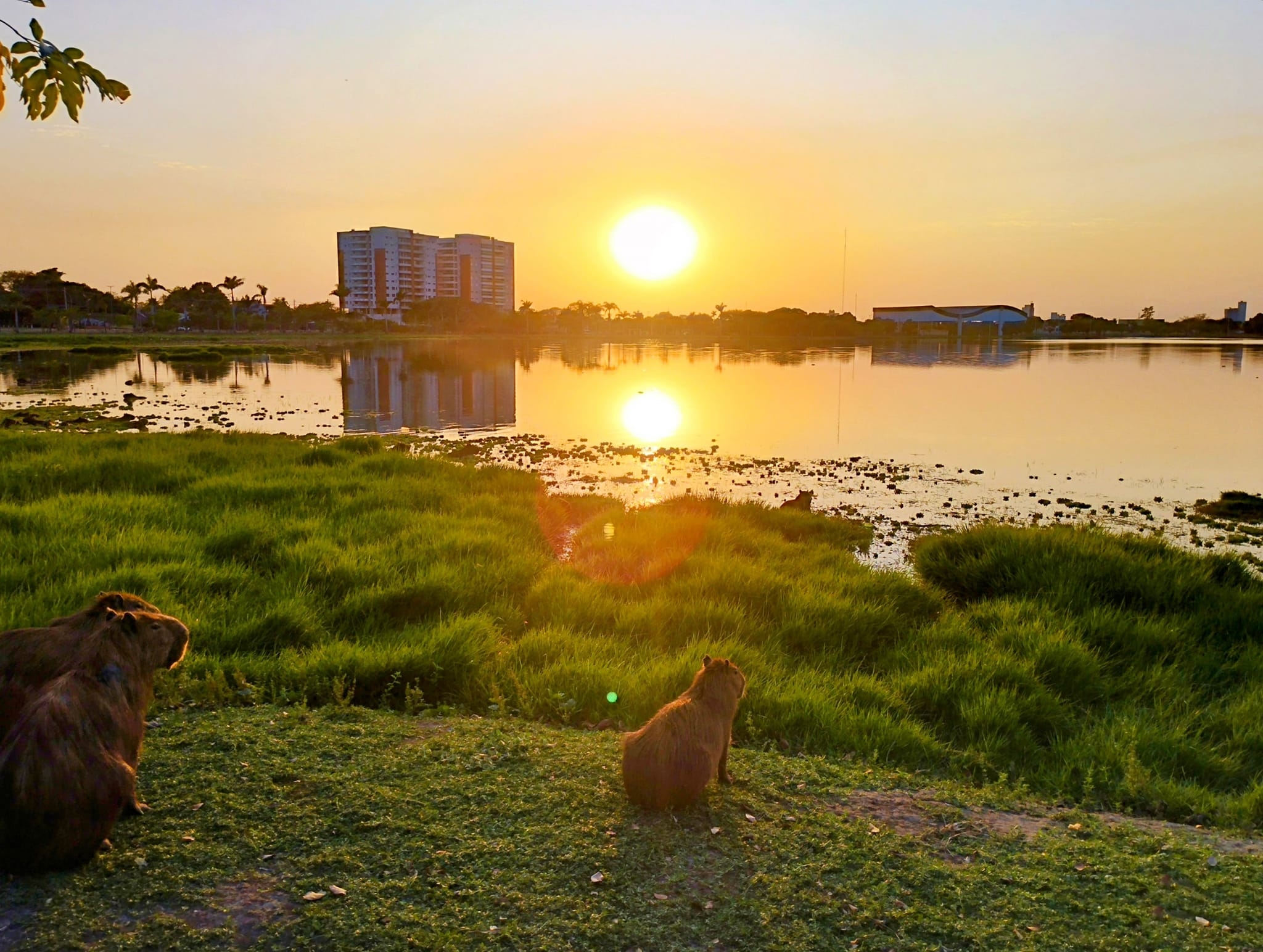 Temperatura volta a ficar acima da média e quinta será de sol e calor de 40°C em MS