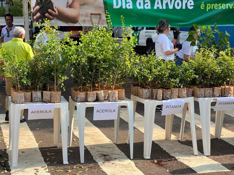 Prefeitura distribuirá 15 mil mudas de árvores frutíferas no Dia da Árvore