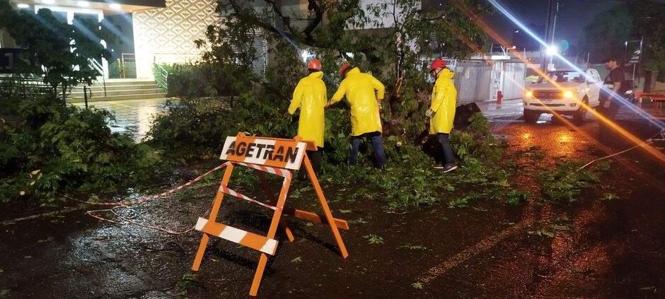 Prefeitura de Campo Grande mobiliza equipes após tempestade para garantia da segurança da população