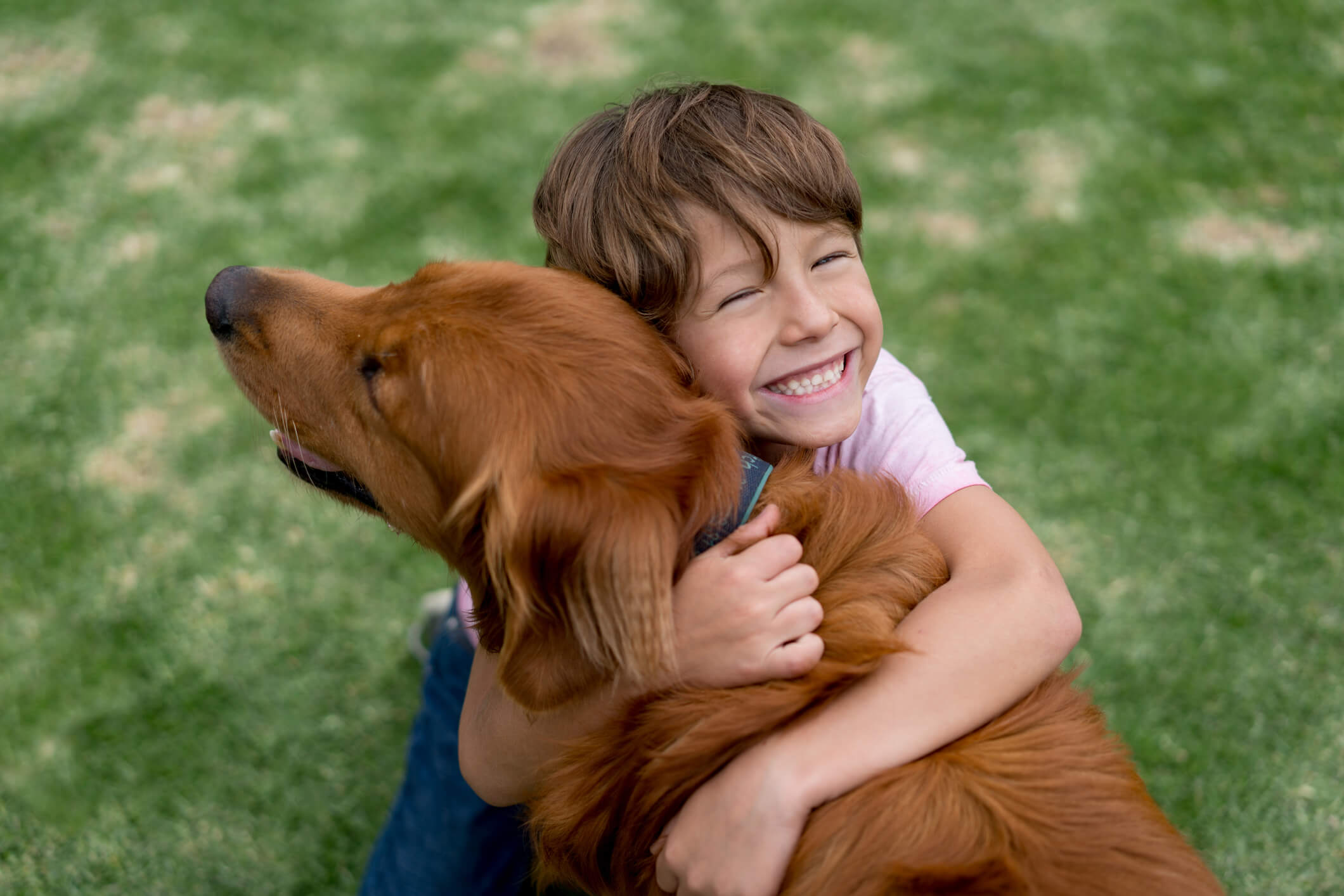 Convivência com pets pode ajudar no tratamento de crianças autistas ou com déficit de atenção