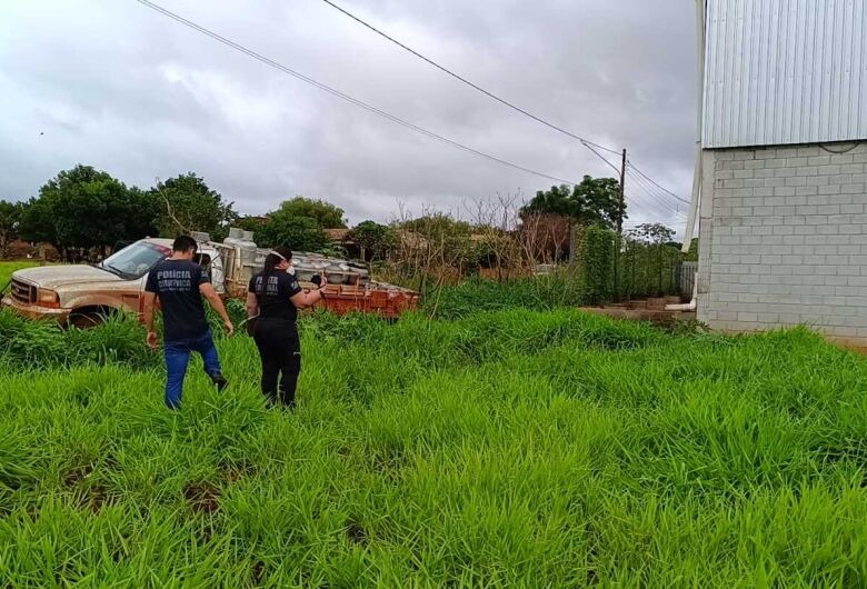 Corpo em avançado estado de decomposição é encontrado em Dourados