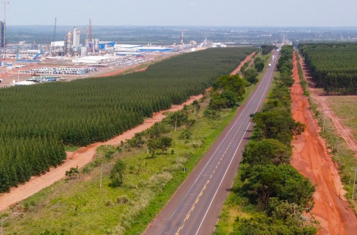 Rota da Celulose tem expectativa de voltar ao mercado no primeiro trimestre de 2025